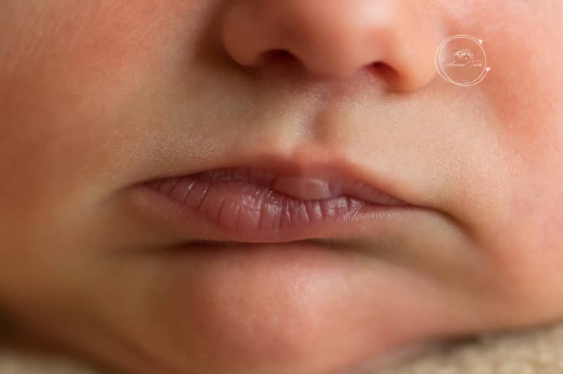 Photo d'un bébé en séance photo