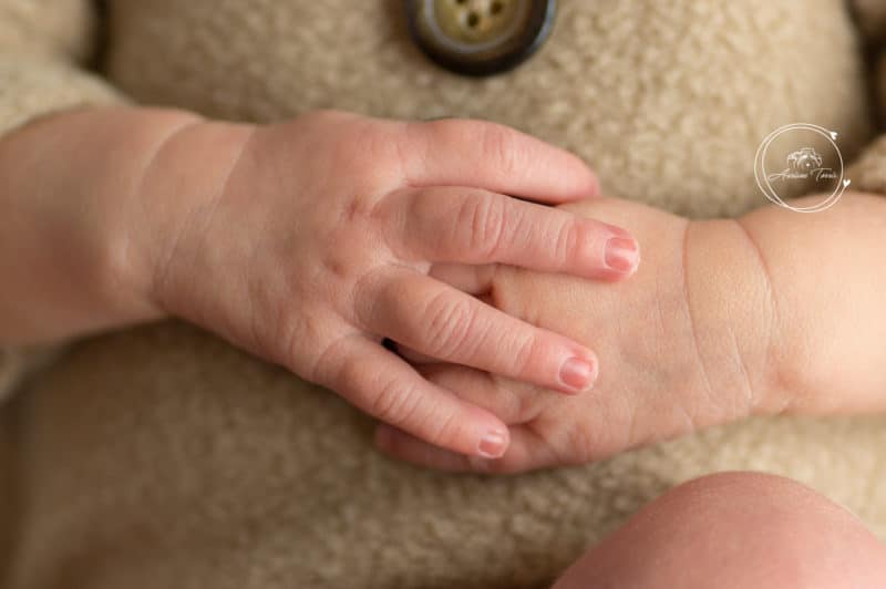 Photo des mains d'un nouveau-né