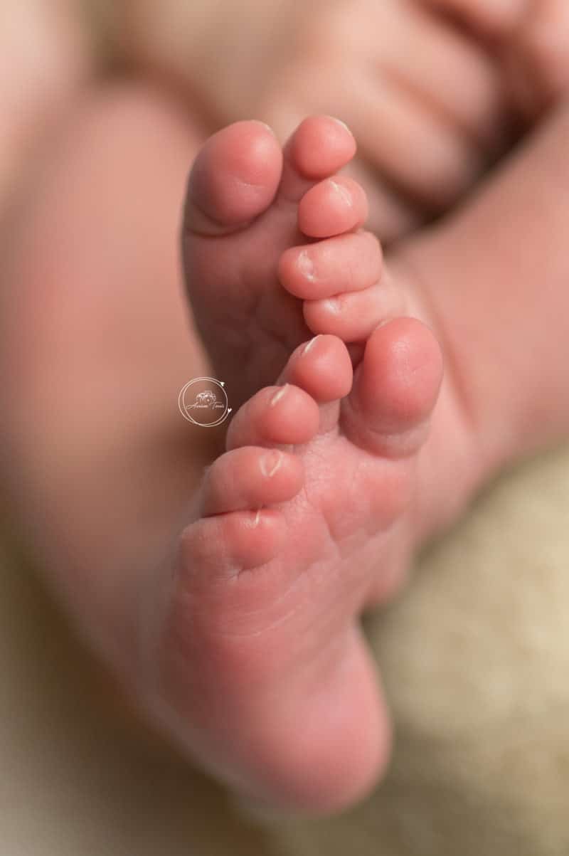 Photo d'un bébé en séance photo