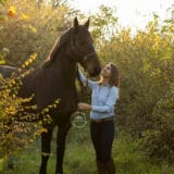 Photo d'une séance équine en fin de journée à Sury-le-Comtal