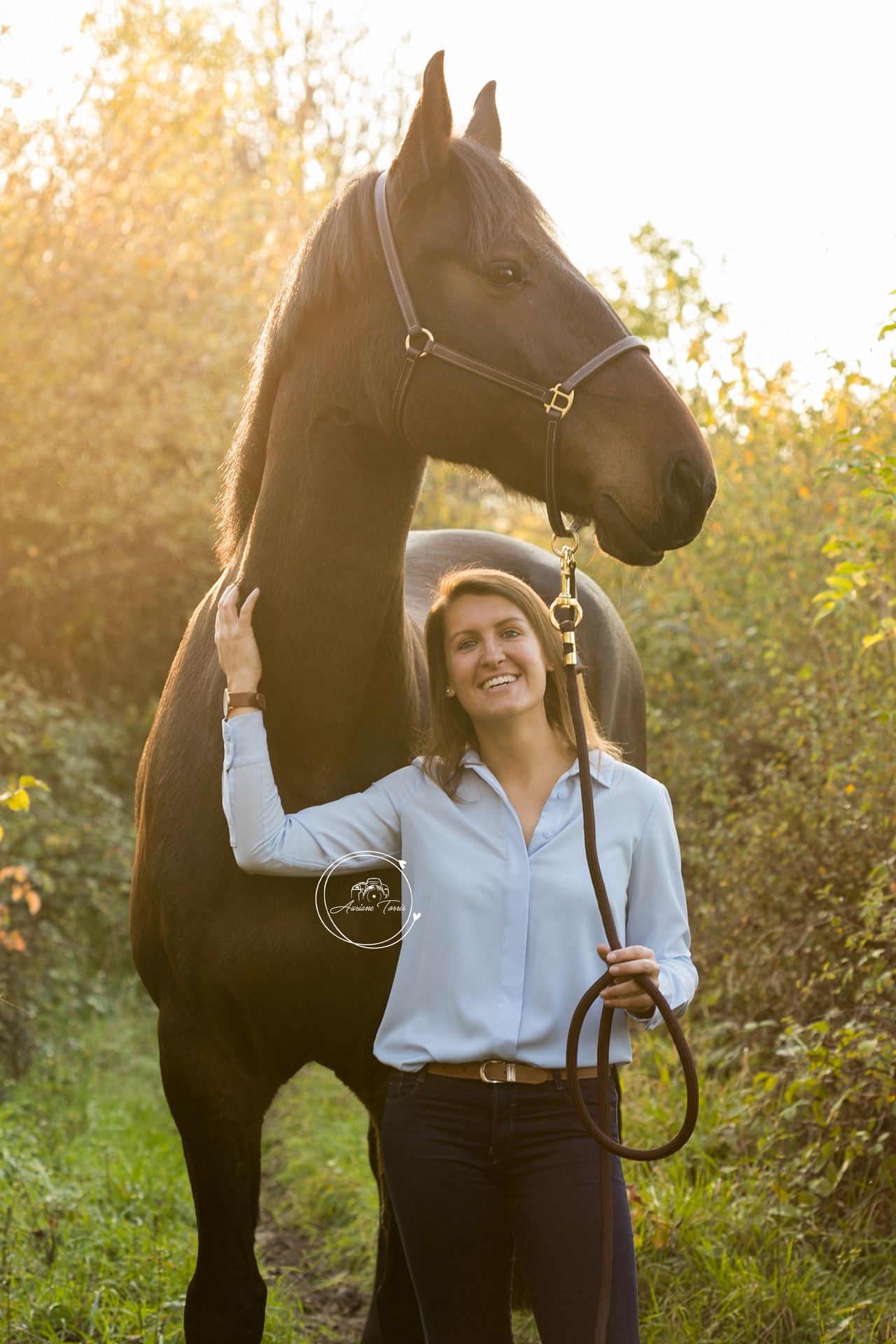 Photo équine en fin de journée